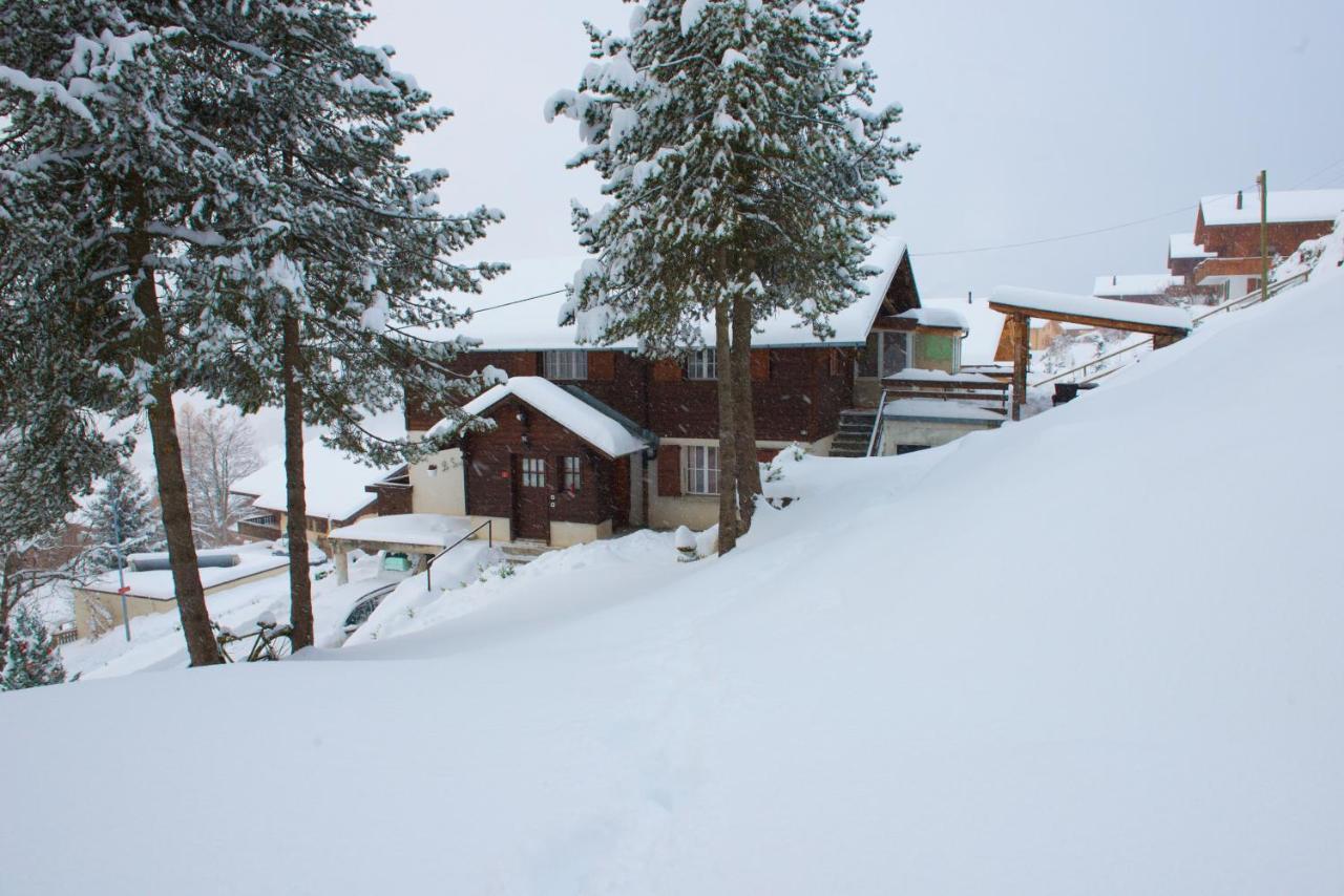 4 Personnes Avec Sauna Apartamento
