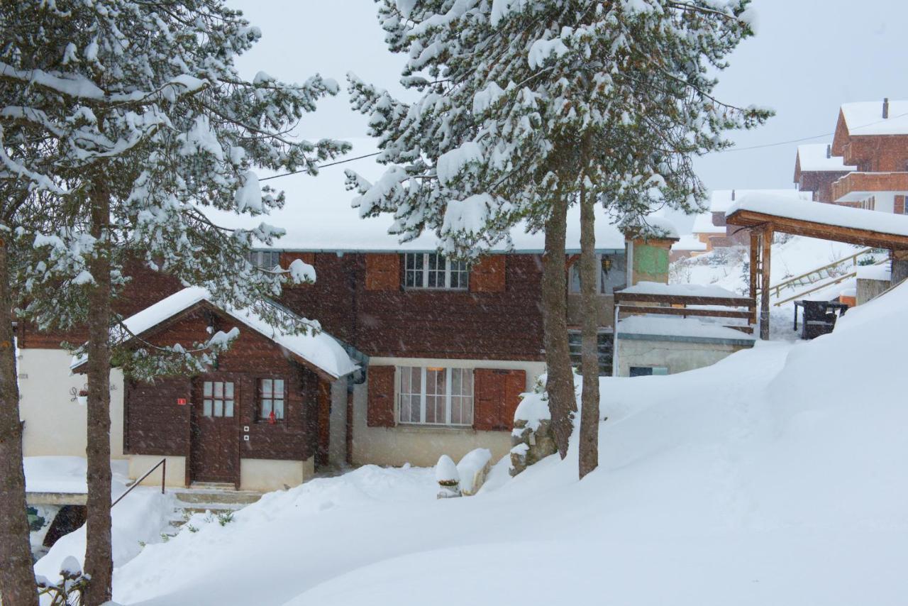 4 Personnes Avec Sauna Apartamento Leysin